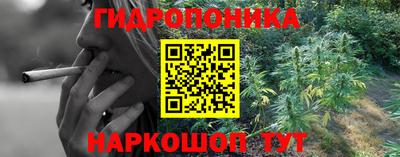 прущий лед Обь