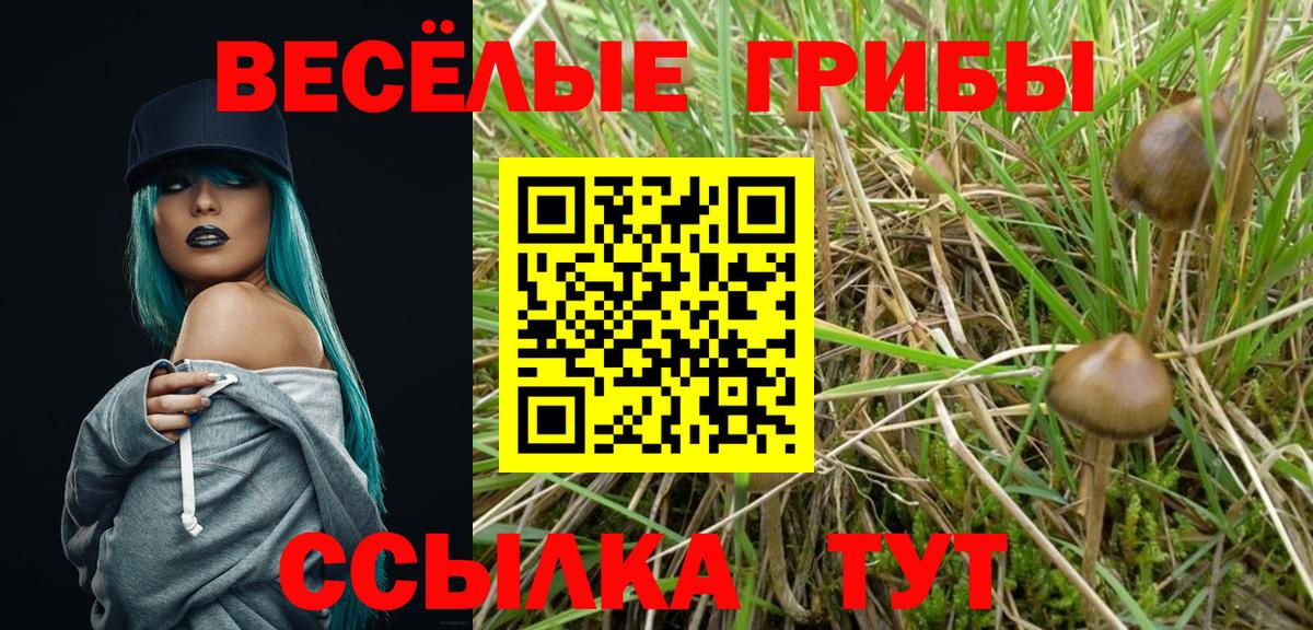 Псилоцибиновые грибы Psilocybe Троицк