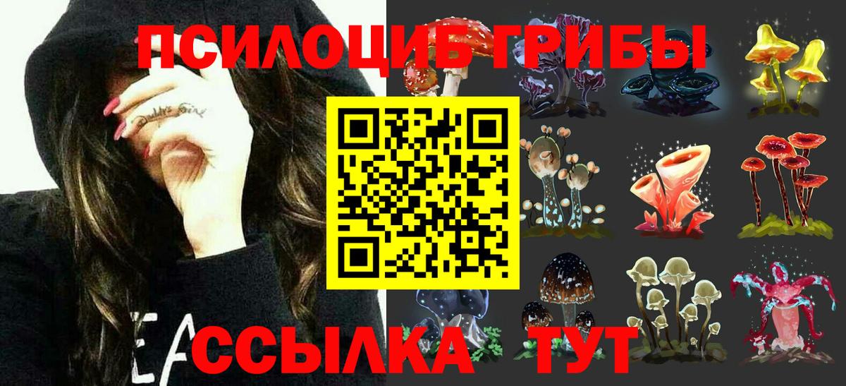 Галлюциногенные грибы Psilocybine cubensis  Вход с VPN  Троицк  как найти закладки  Галлюциногенные грибы GOLDEN TEACHER 